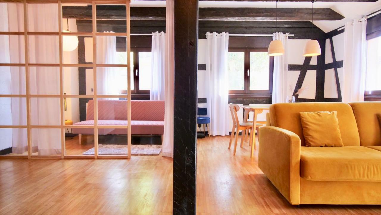 Bonheur Apartment Schiltigheim Ngoại thất bức ảnh